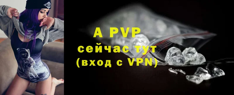 A PVP СК  мориарти Telegram  Беломорск 