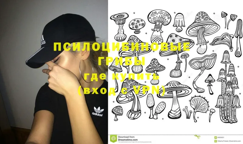 Псилоцибиновые грибы MAGIC MUSHROOMS  как найти   Беломорск 